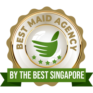 Best Maid Agency